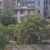 ۴۳۵ متر ملک کلنگی، آرژانتین، موقعیت اداری