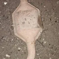 خریدار کاتالیزور یا کاتالیز