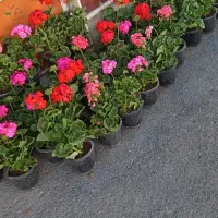 تو دعوت شده‌ای به «سرزمینِ وجود»