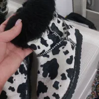 بوت