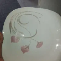 ست ارکوپال