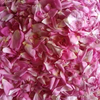 گل محمدی|خوردنی و آشامیدنی|بوئین زهرا, |دیوار