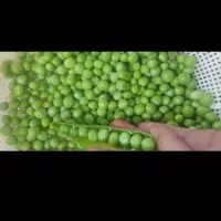 نخود سبز و باقالا تمیز در بسته های یک کیلویی