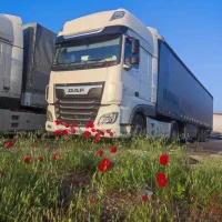 کامیون کشنده داف