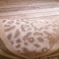 فرش ۶ متری|فرش|رشت, استادسرا|دیوار