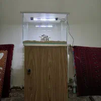 آکواریوم شیشه خم
