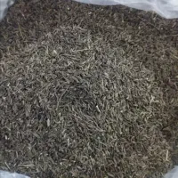 زیره سیاه کوه خبر