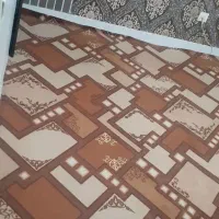موکت پالاز