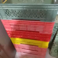 سبد پلاستیکی مرغ و گوشت