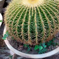 نایلون کشیی، تعمیرات گلخانه،خدمات فنی
