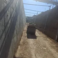 اجاره بابکت و کمپکتور دستی غلطک دو تنی زردبانیسان