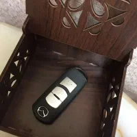 یک عدد سویچ نیومزدا