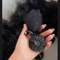 شمع محرمی
