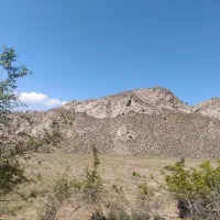 سگ گله