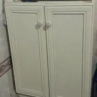 جاکفشی سالم