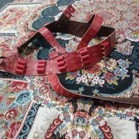قطار شکاری