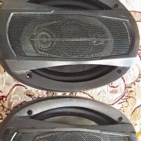 باند ماشین برند maxton