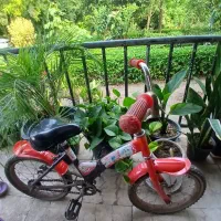 دوچرخه