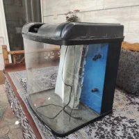 آکواریوم شیشه خم