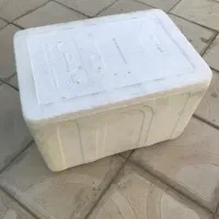 یخچال یونولیتی
