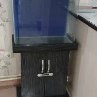 آکواریوم
