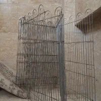 پارک سگ/ خرگوش