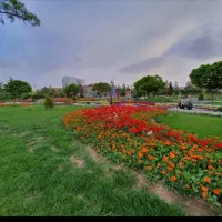 100متری ستاری