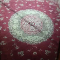 دوتا قالی 12