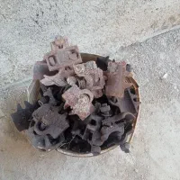 شادگان