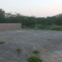فروش-دو-قطعه-زمین