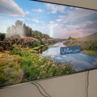 تلوزیون ایکس ویژن