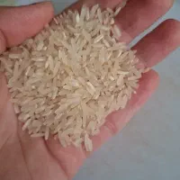 برنج محلی
