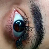 مدل مژه|خدمات زیبایی و سلامت|کرمان, |دیوار