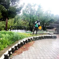 کارباغبانی وکارکردن باعلف زن به صورت حرفه ای