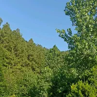زمین-بر-خیابان-روستای-هودول-مسکونی