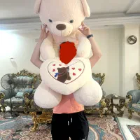 خرس دومتری