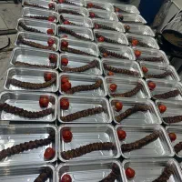 تهیه وتوزیع غذای ایرانی