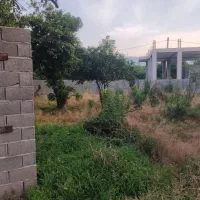 زمین ۳۷۴ متری مسکونی دالخانی رامسر