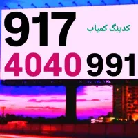 0917.04.04.350