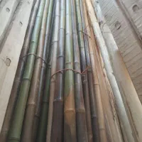 چوب بامبو