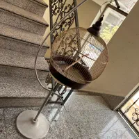 قفس طوطی پرنده