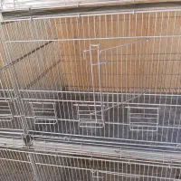 قفس ۸ خان اردشیر