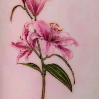 اجرای تتو بدن حرفه ای  ، طراحی های اختصاصی و ظریف