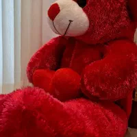 خرس بزرگ مناسب ولنتاین