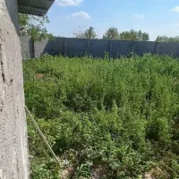 زمین-فروشی-پاچکنار-515مترمسکونی-دور-دیوار-پاچکنار