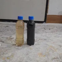ریکای سیاه و زرد