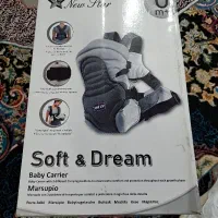 اغوشی
