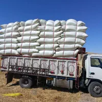 کاه فروش دردهگلان