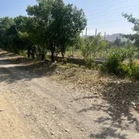 فروش یا معاوضه باغ