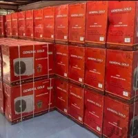 کولرگازی 24000اینورتر جنرال گلد مدل DIVA5